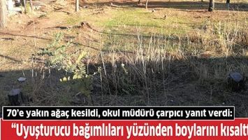 70&rsquo;e yakın ağa&ccedil; kesildi, okul m&uuml;d&uuml;r&uuml; &ccedil;arpıcı yanıt verdi: