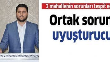 3 MAHALLENİN SORUNLARI TESPİT EDİLDİ