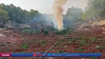 403 kilogram esrar, 272 bin 200 k&ouml;k Hint keneviri ele ge&ccedil;irildi