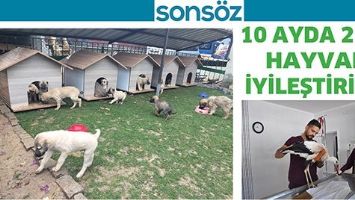 10 AYDA 2198 HAYVAN İYİLEŞTİRİLDİ