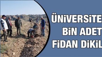 &Uuml;NİVERSİTEYE BİN ADET FİDAN DİKİLDİ