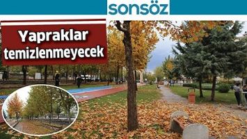 YAPRAKLAR TEMİZLENMEYECEK