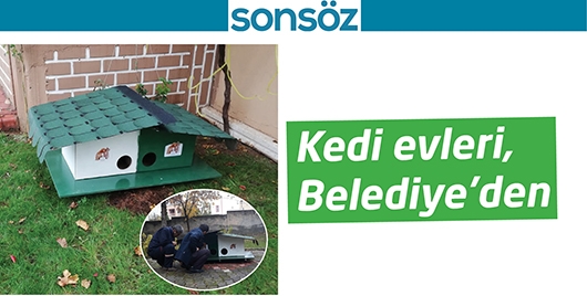 KEDİ EVLERİ, BELEDİYE&rsquo;DEN