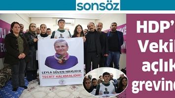 HDP&rsquo;Lİ VEKİL, A&Ccedil;LIK GREVİNDE
