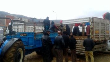 Gerc&uuml;ş'te 12 bin 500 fıstık fidanı dağıtılacak