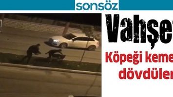 VAHŞET!