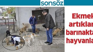 EKMEK ARTIKLARI, BARINAKTAKİ HAYVANLARA