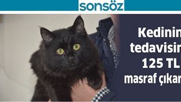 KEDİNİN TEDAVİSİNE 125 TL MASRAF &Ccedil;IKARILDI