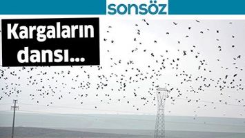 KARGALARIN DANSI&hellip;
