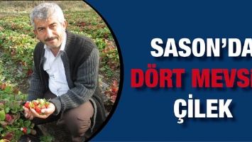 SASON&rsquo;DA &ldquo;D&Ouml;RT MEVSİM &Ccedil;İLEK&rdquo;