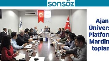 AJANS-&Uuml;NİVERSİTE PLATFORMU, MARDİN&rsquo;DE TOPLANDI