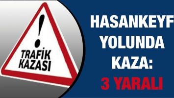 HASANKEYF YOLUNDA KAZA: 3 YARALI