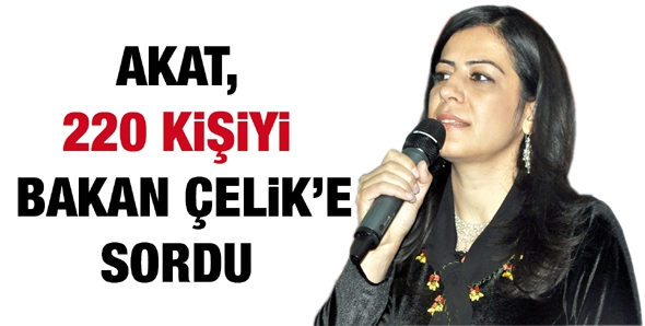 AKAT, 220 KİŞİYİ BAKAN &Ccedil;ELİK&rsquo;E SORDU