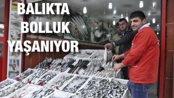 BALIKTA BOLLUK YAŞANIYOR!