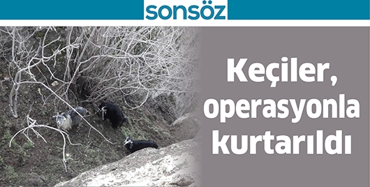 KE&Ccedil;İLER, OPERASYONLA KURTARILDI