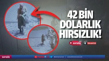 42 bin dolarlık hırsızlık!