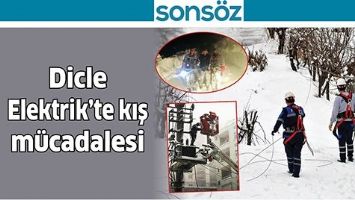 DİCLE ELEKTRİK&rsquo;TE KIŞ M&Uuml;CADALESİ