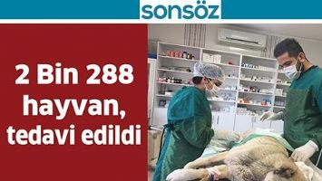 2 BİN 288 HAYVAN, TEDAVİ EDİLDİ