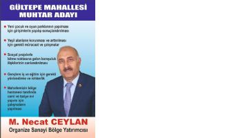 G&Uuml;LTEPE MUHTAR ADAYI;