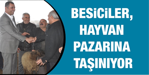 BESİCİLER, HAYVAN PAZARINA TAŞINIYOR