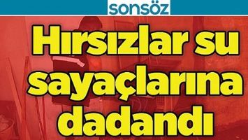 HIRSIZLAR, SU SAYA&Ccedil;LARINA DADANDI.