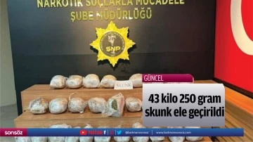 43 kilo 250 gram skunk ele ge&ccedil;irildi
