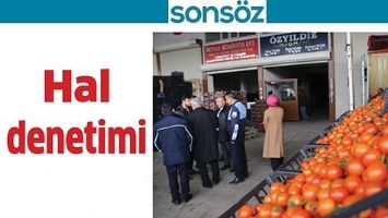 HAL DENETİMİ...
