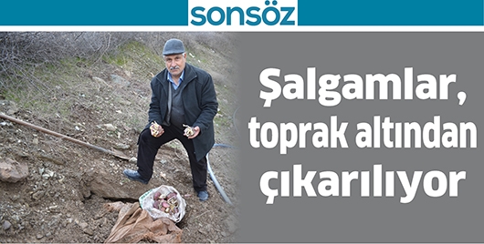 ŞALGAMLAR, TOPRAK ALTINDAN &Ccedil;IKARILIYOR