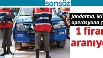 JANDARMA, İKİ İLDE OPERASYONA &Ccedil;IKTI:1 FİRARİ ARANIYOR