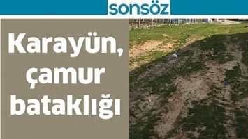 KARAY&Uuml;N, &Ccedil;AMUR BATAKLIĞI