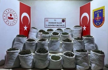 435 kilogram esrar ve 632 bin 120 k&ouml;k uyuşturucu bitkisi ele ge&ccedil;irildi