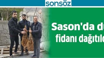 SASON'DA DUT FİDANI DAĞITILDI