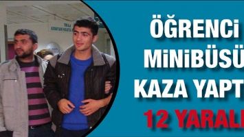 &Ouml;ĞRENCİ MİNİB&Uuml;S&Uuml; KAZA YAPTI: 12 YARALI