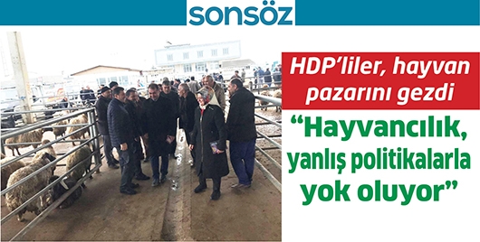 HDP&rsquo;LİLER, HAYVAN PAZARINI GEZDİ