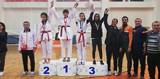 TAEKWONDO&rsquo;DA HEDEF T&Uuml;RKİYE FİNALİ