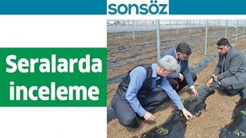 SERALARDA İNCELEME