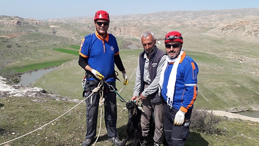 AFAD KE&Ccedil;İ İ&Ccedil;İN SEFERBER OLDU
