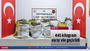 445 kilogram esrar ele ge&ccedil;irildi