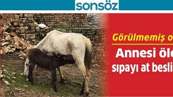 G&Ouml;R&Uuml;LMEMİŞ OLAY; ANNESİ &Ouml;LEN SIPAYI AT BESLİYOR