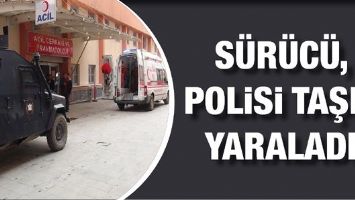 S&Uuml;R&Uuml;C&Uuml;, POLİSİ TAŞLA YARALADI