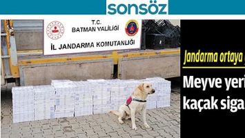 JANDARMA ORTAYA &Ccedil;IKARDI!