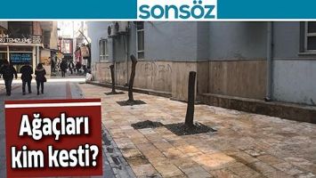 AĞA&Ccedil;LARI KİM KESTİ?