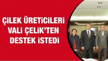 &Ccedil;İLEK &Uuml;RETİCİLERİ VALİ &Ccedil;ELİK&rsquo;TEN DESTEK İSTEDİ