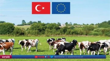 45 projeye 210 milyonluk hibe&hellip;