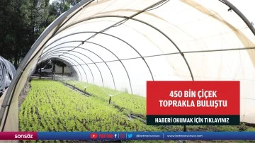 450 bin &ccedil;i&ccedil;ek toprakla buluştu