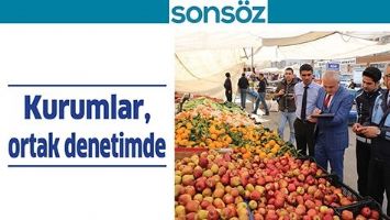 KURUMLAR, ORTAK DENETİMDE
