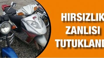HIRSIZLIK ZANLISI TUTUKLANDI