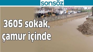 3605 SOKAK, &Ccedil;AMUR İ&Ccedil;İNDE