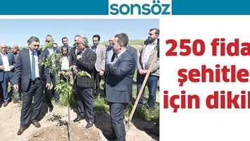 250 FİDAN, ŞEHİTLER İ&Ccedil;İN DİKİLDİ