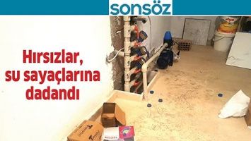 HIRSIZLAR, SU SAYA&Ccedil;LARINA DADANDI
